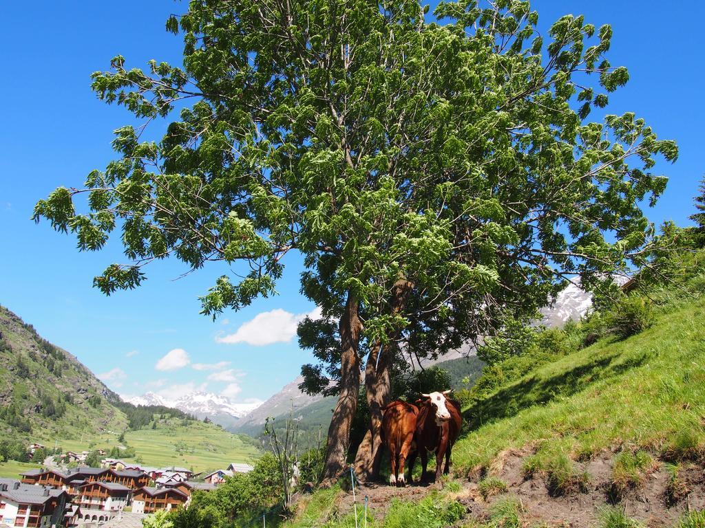 Apartmán Locations Berne Milesi Lanslevillard Exteriér fotografie